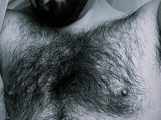 bearwoofhot